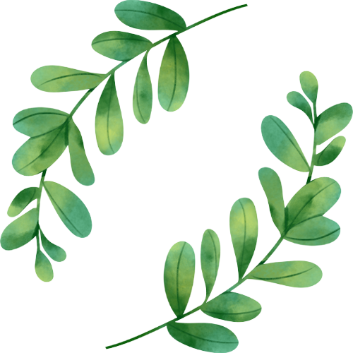 Slower Living | Learning to live slowly