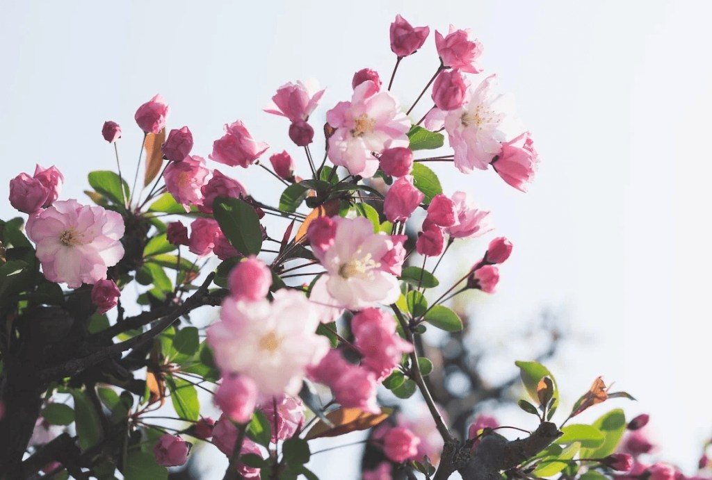 Growing like a&nbsp;weed