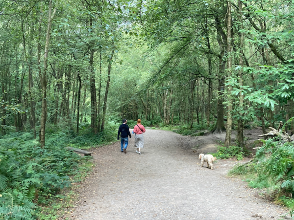 Deep in the Hundred Acre&nbsp;Wood