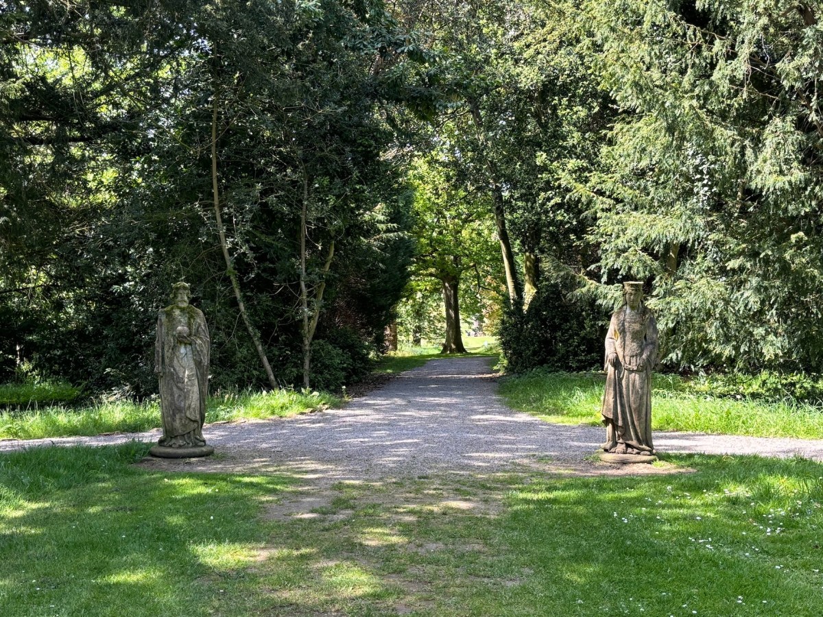 A sunny day at Thorp Perrow&nbsp;Arboretum